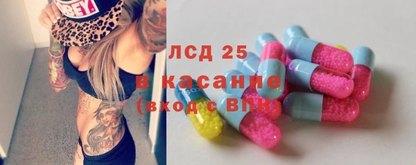 ГАЛЛЮЦИНОГЕННЫЕ ГРИБЫ Балахна