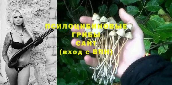 ГАЛЛЮЦИНОГЕННЫЕ ГРИБЫ Балахна