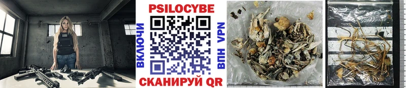 Псилоцибиновые грибы Cubensis  Новотроицк 